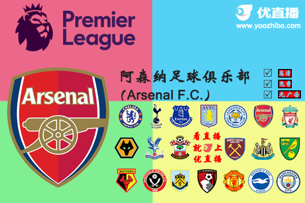 2019-20赛季<a href=/zuqiu_jingcai/arsenal/ target=_blank class=infotextkey>阿森纳</a>阵容名单一览