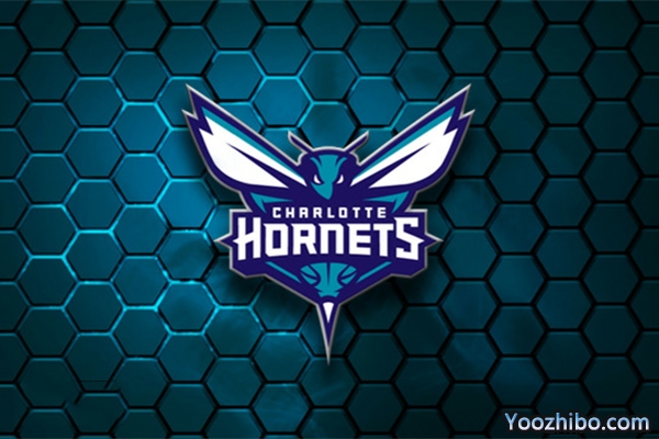 2019-2020赛季<a href=/lanqiu_jingcai/hornets/ target=_blank class=infotextkey>黄蜂</a>队队徽